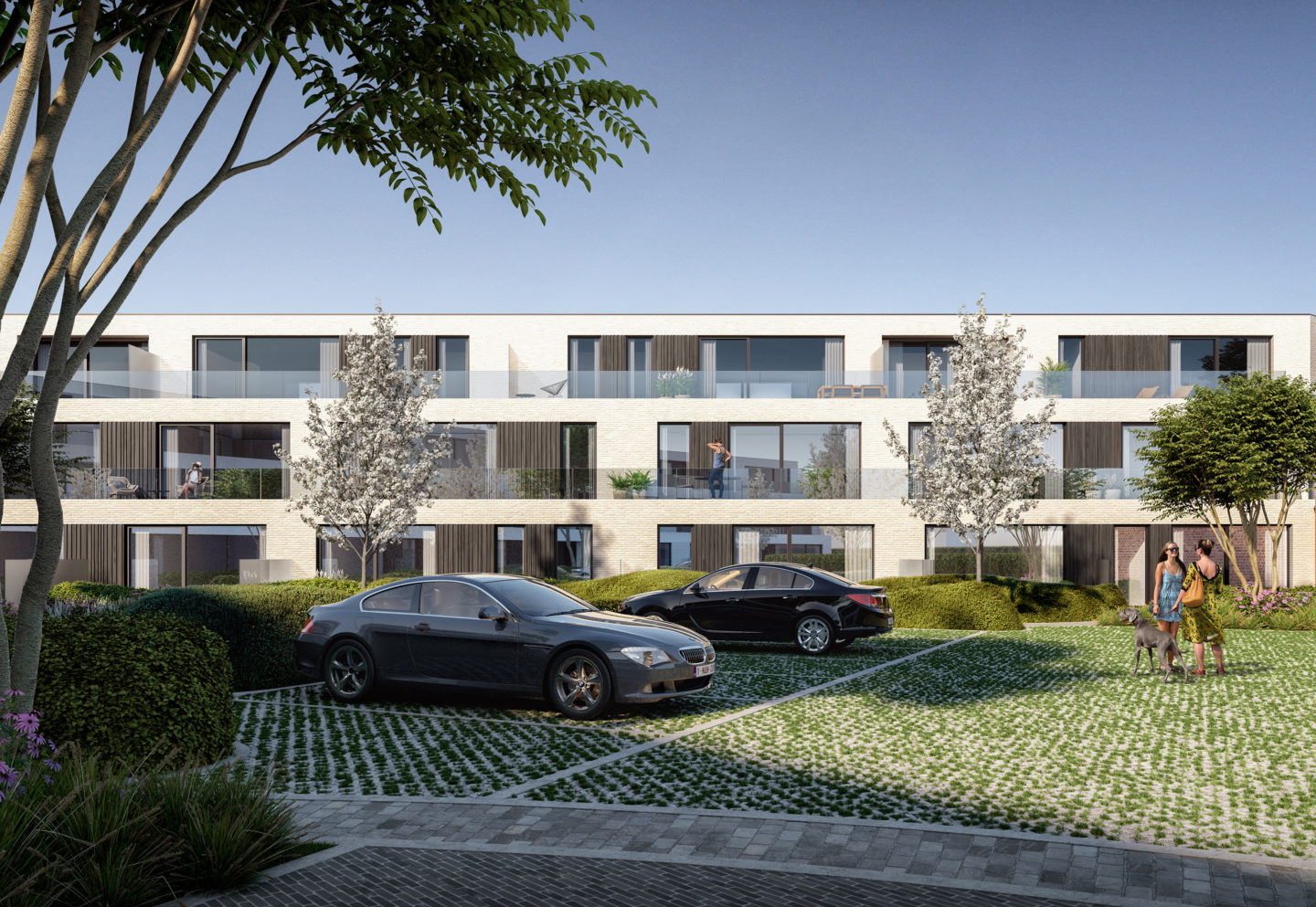 P1179 LAFAUT Rijksweg Wielsbeke CAM 8 HR 20200108